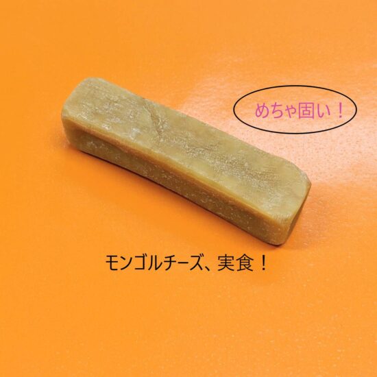 実食！【モンゴルストロングチーズ（犬用チーズガム）Mサイズ】編